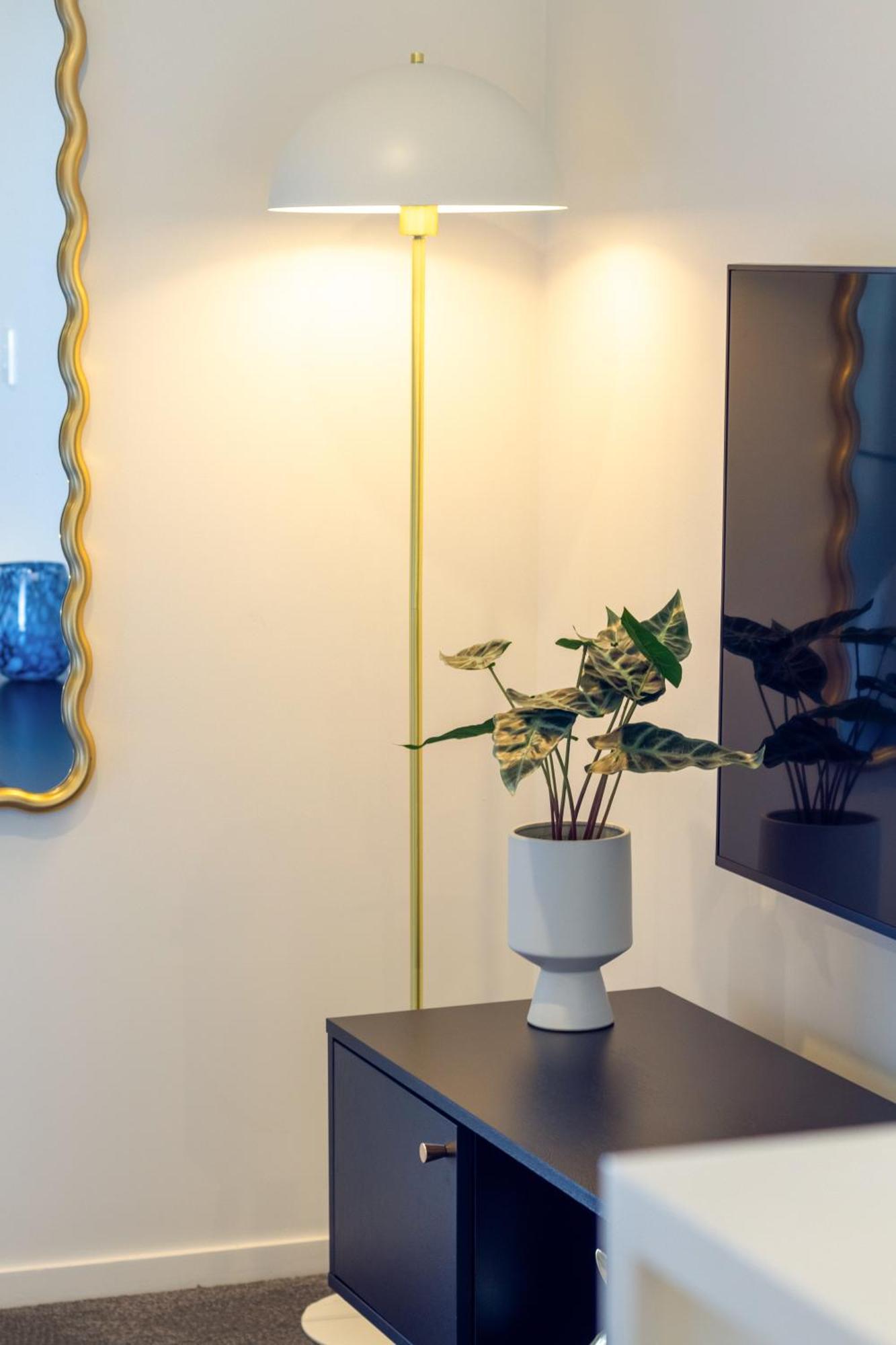 Explore From 8 Wilmer: Upper Level Cozy Studio Christchurch Exterior foto